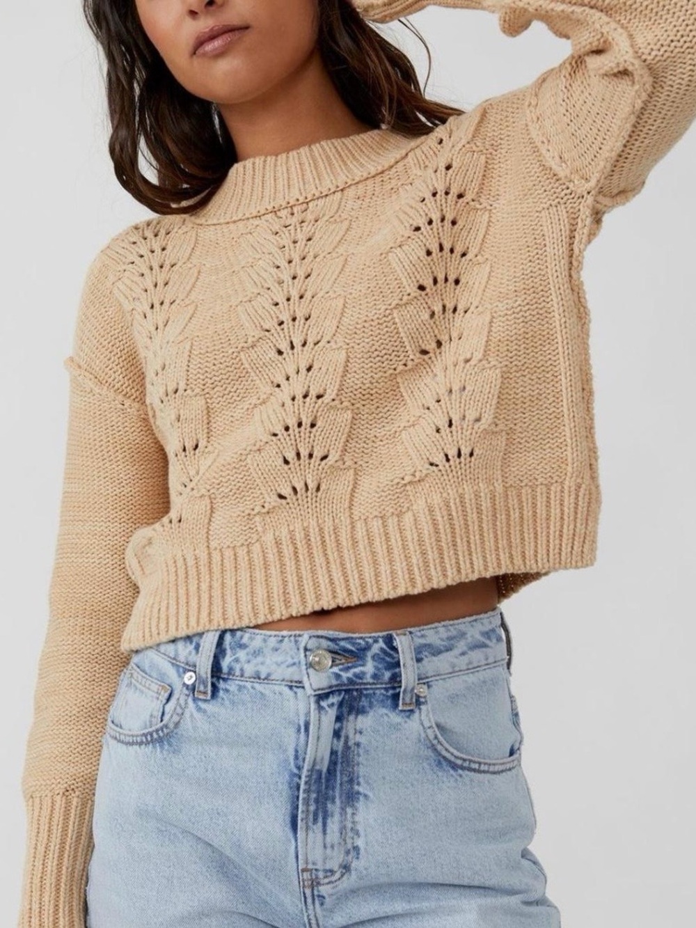 Free People Bell Song Pullover Cable Knit Cropped Sweater in Beige